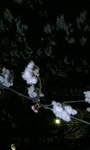 060415_2116~0001.jpg